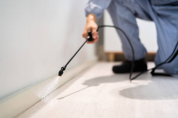 Bed Bug Pre-Treatment Preparation Assessment in Wetherington
