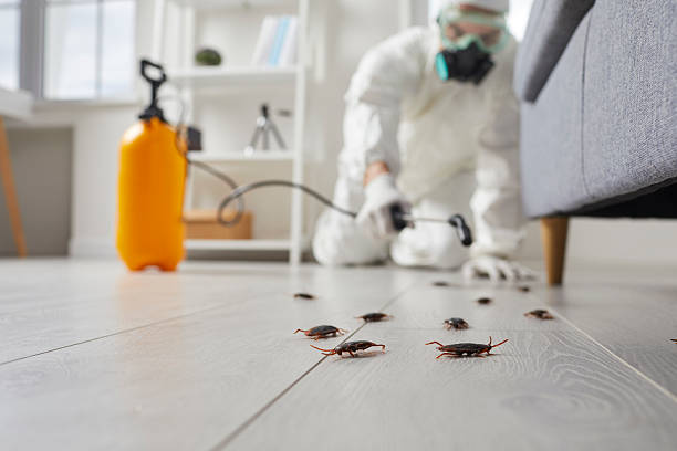 Post-Treatment Bed Bug Interceptor Monitoring in Wetherington
