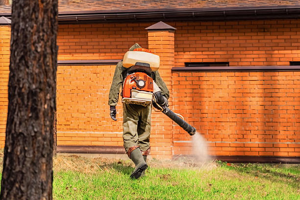 Bed Bug Clearance Verification and Documentation in Wetherington